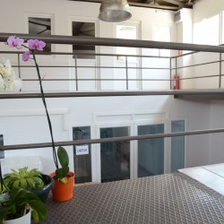 Feronia Bakım & Kozmetik Ürünleri